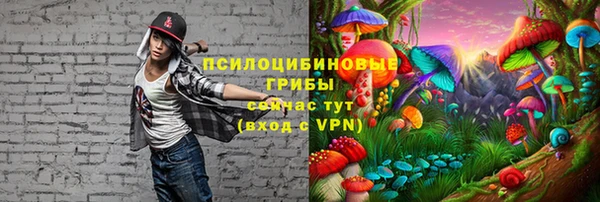 гашик Абаза