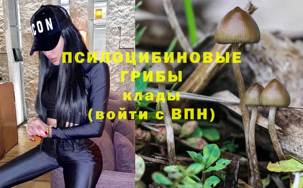 твердый Алексин