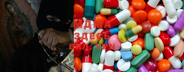 прущие грибы Абинск
