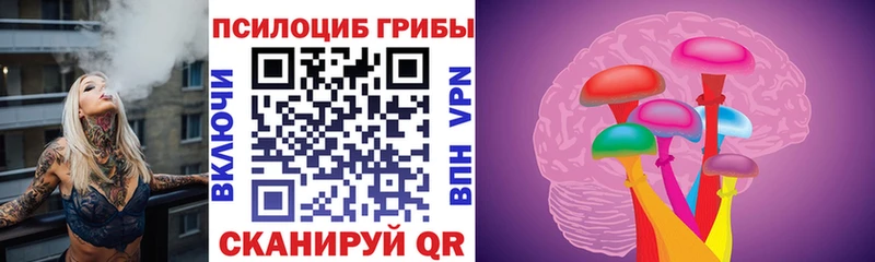 Псилоцибиновые грибы Psilocybe  купить закладку  Дюртюли 